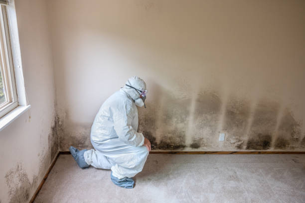 Best Industrial Mold Remediation  in Loch Sheldrake, NY