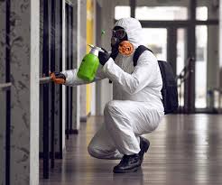 Best Biohazard Mold Removal  in Loch Sheldrake, NY